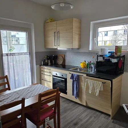 公寓 Giant Private Garden & Spacious Flat In 因斯布鲁克